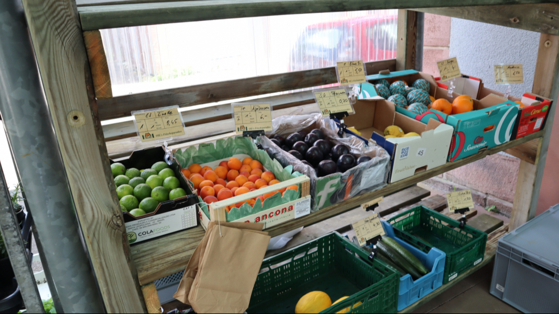 Frische regionale Lebensmittel bei Olli’s Frischeparadies – Obst, Gemüse und saisonale Produkte in bester Qualität.