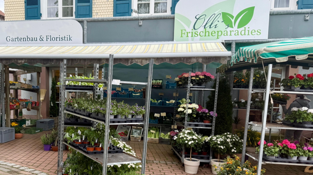 Frische regionale Lebensmittel bei Olli’s Frischeparadies – Obst, Gemüse und saisonale Produkte in bester Qualität.